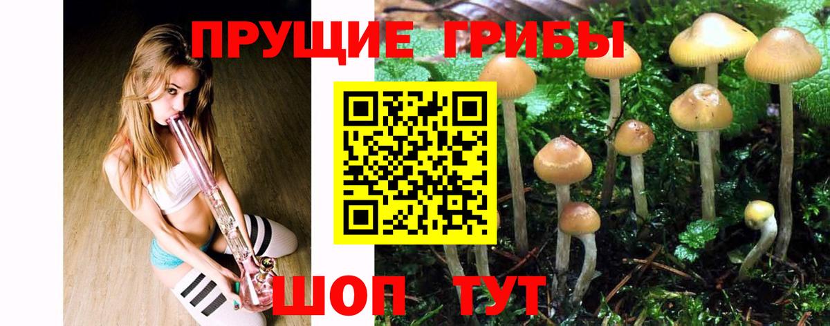 Балаково  Псилоцибиновые грибы GOLDEN TEACHER  Псилоцибиновые грибы мицелий  Вход с VPN 